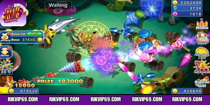 Cá và vũ khí được phân cấp rõ ràng 