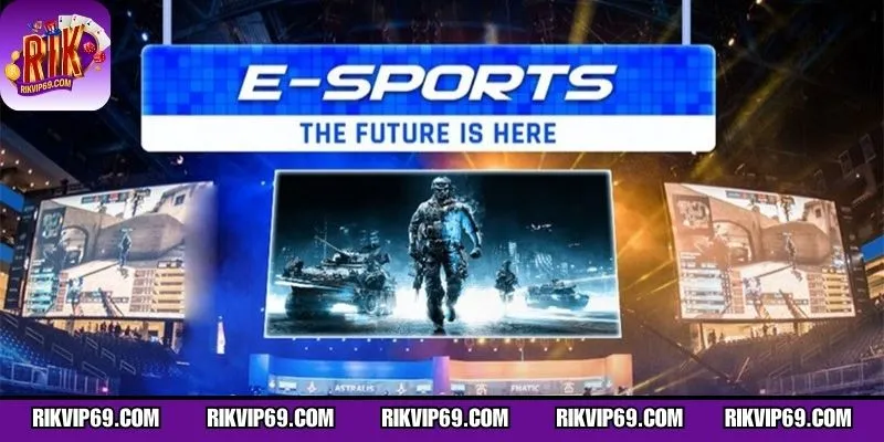 Cá cược gắn liền môi trường thi đấu chuyên nghiệp