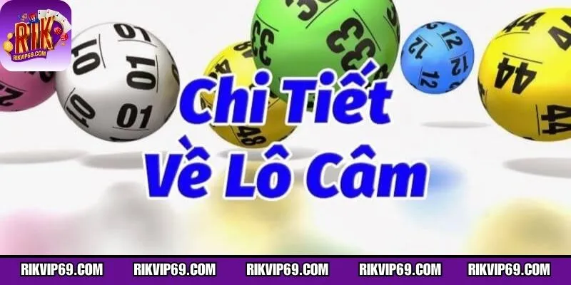 Cách phát hiện đầu số không xuất hiện